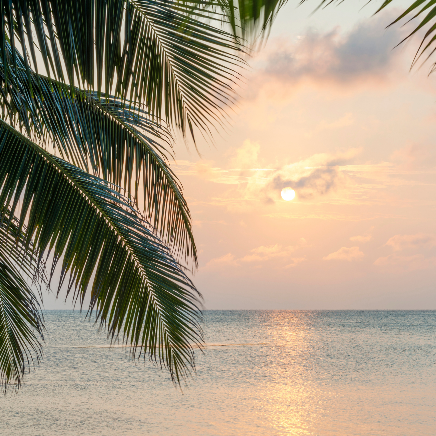 Caribbean Retreat Organic Room + Linen Spray
